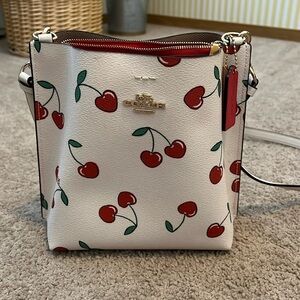 Limited Edition Coach Cherry Bag